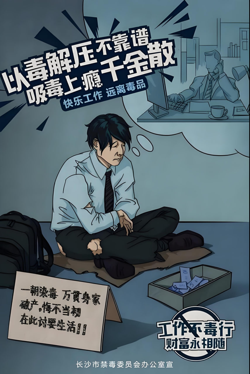 综艺排行第二